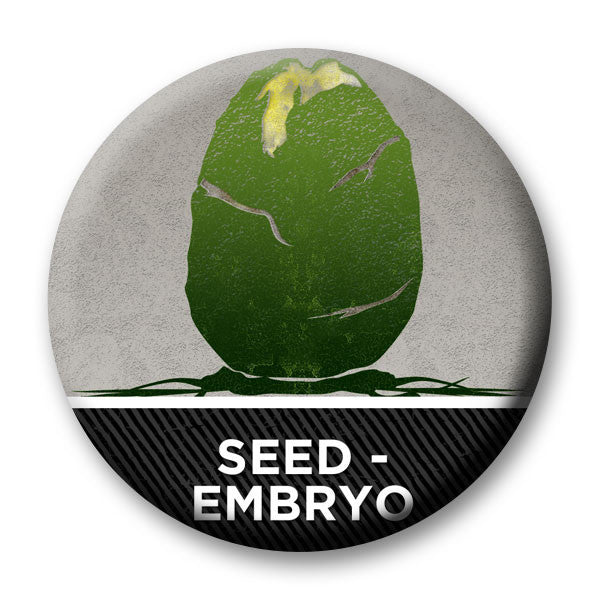 Magnetic Seed Embryo Marker